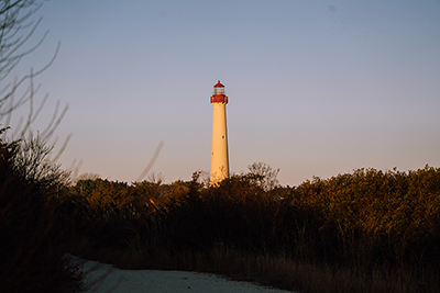 Cape May Point State Park trail view