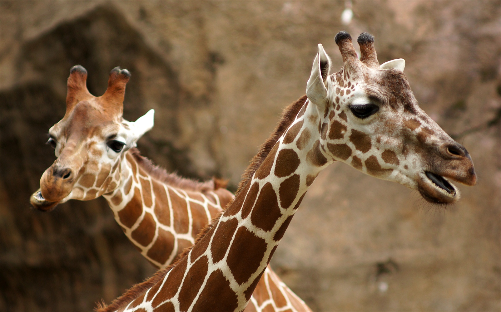 Cape May County Zoo near Wildwood Crest