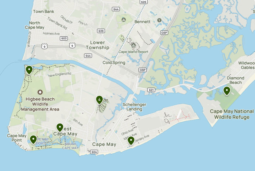 South Cape May Meadows hiking trail